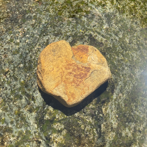 Nature1