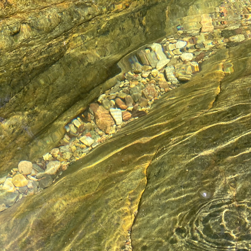 Nature2